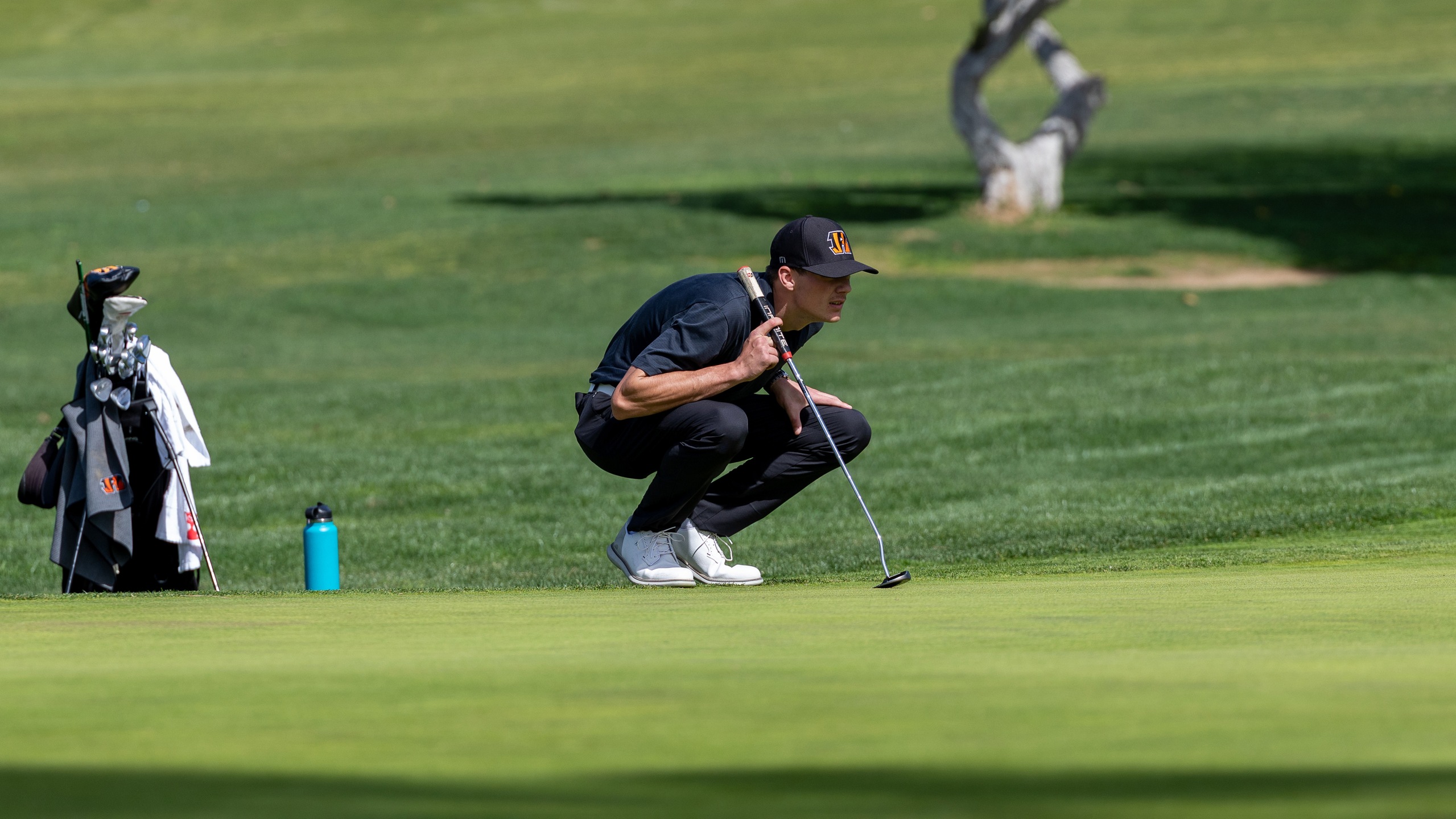 Tigers Show More Improvements, Take Third