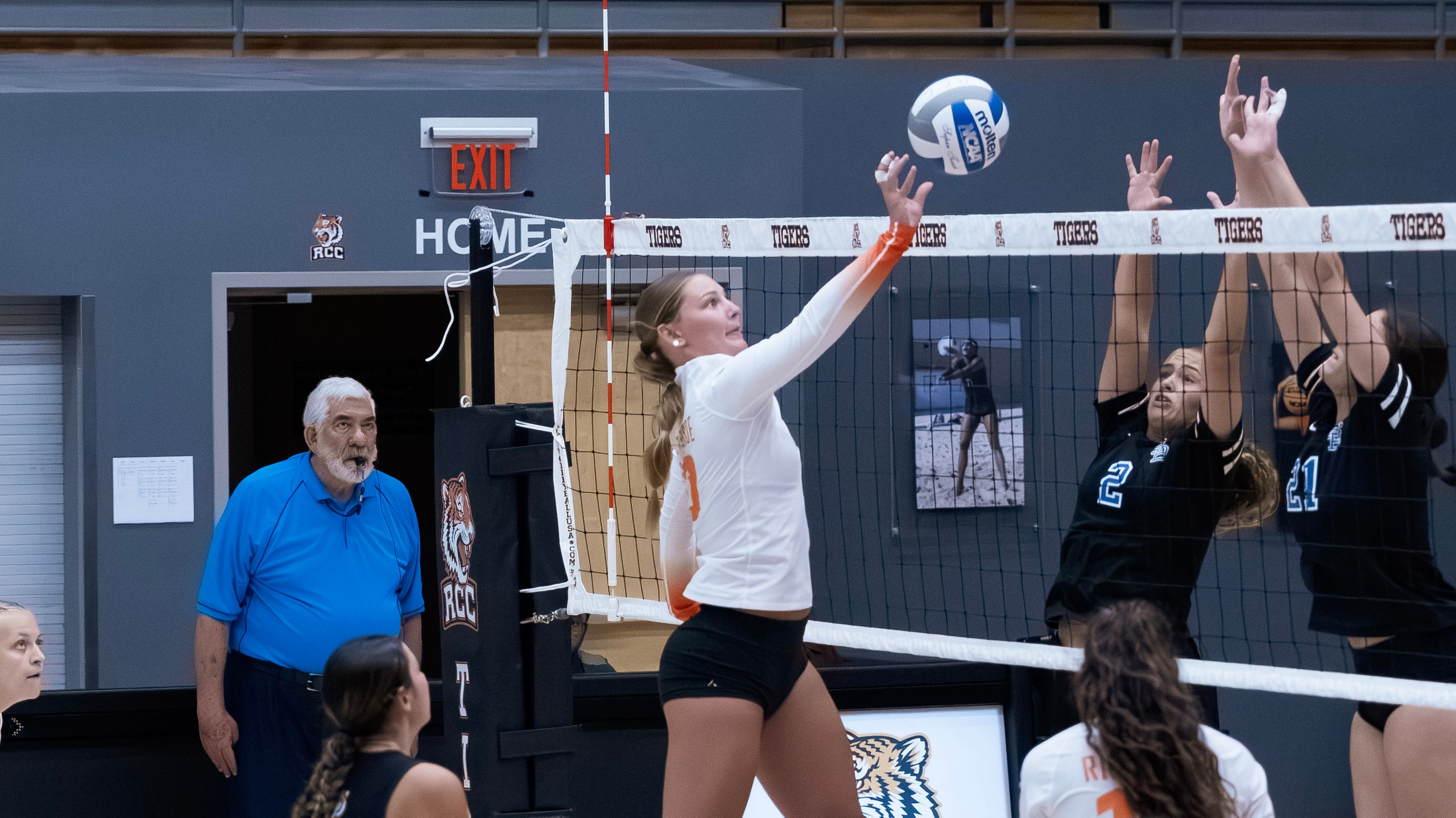 Tigers Take on Mounties