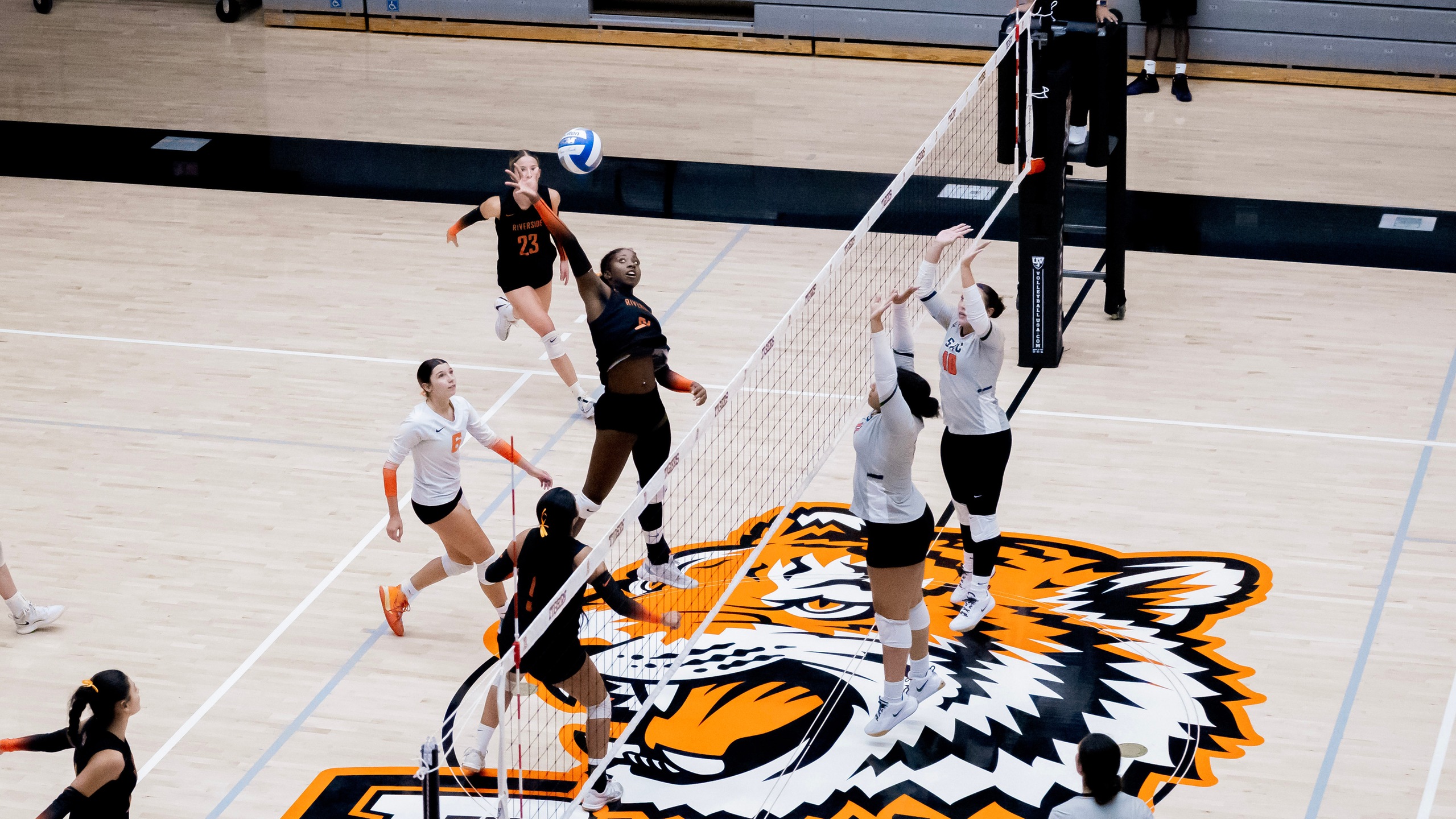 Brittin Leads Tigers in Loss to Golden West